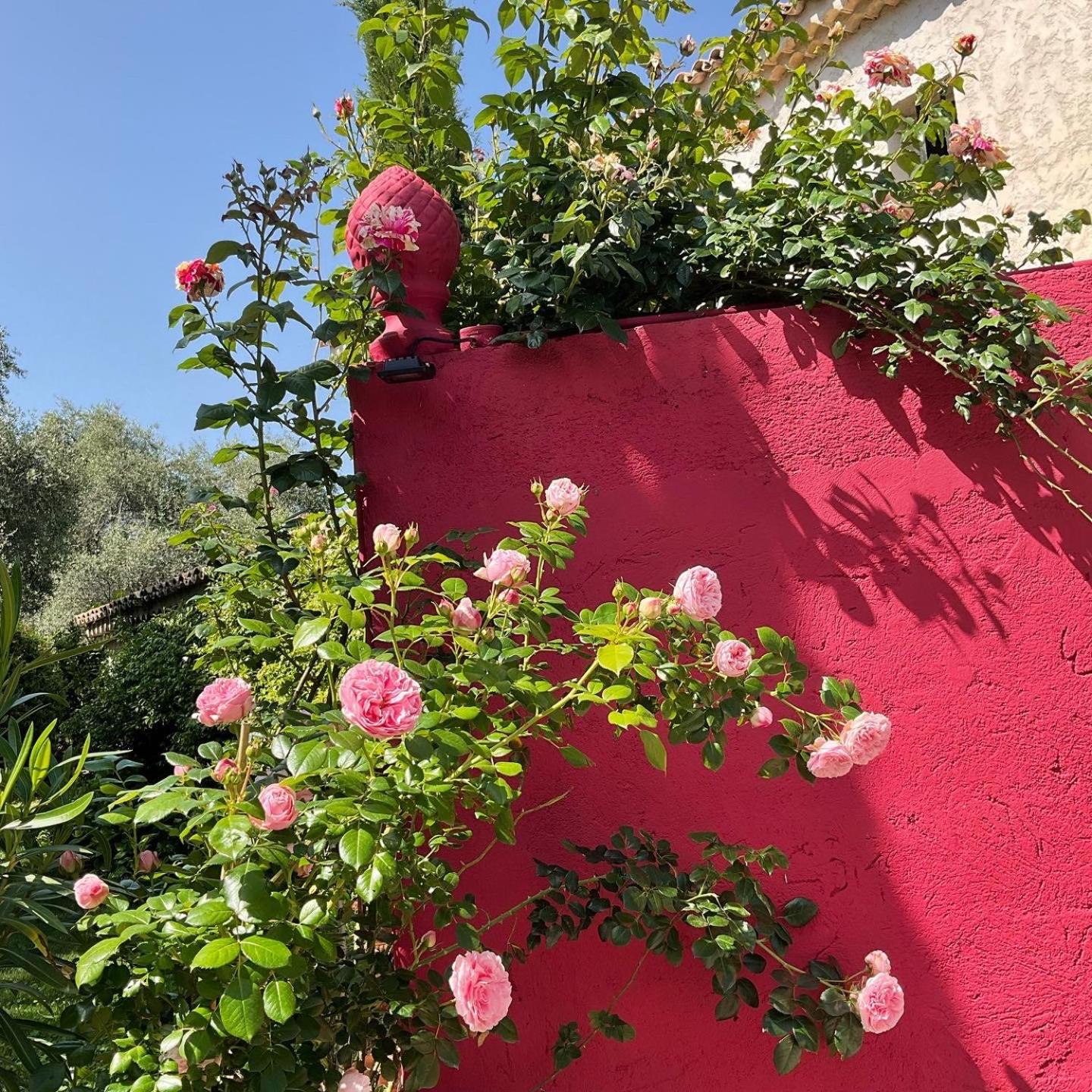 Hotel Mas de Provence en Riviera La Roquette-sur-Var Exterior foto