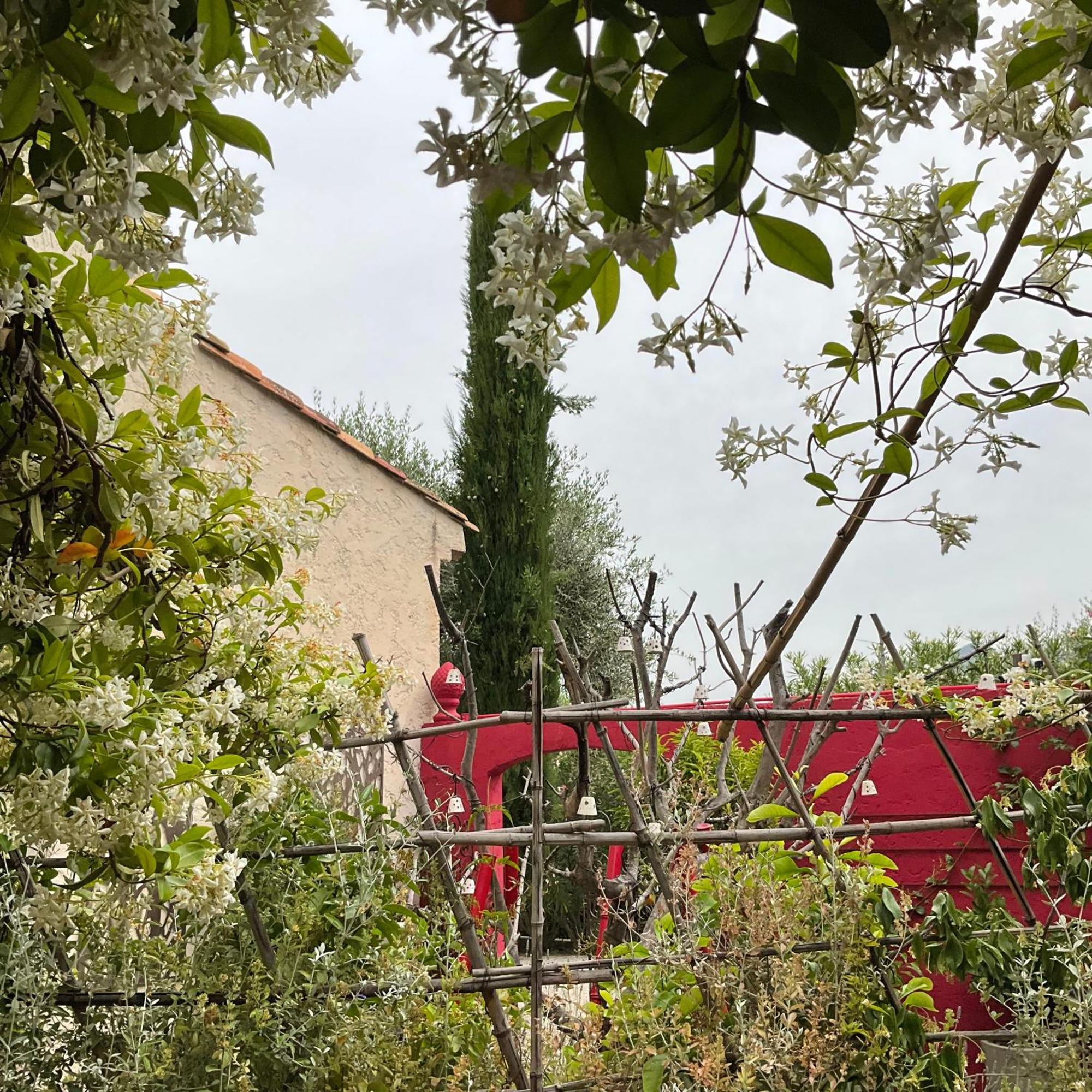 Hotel Mas de Provence en Riviera La Roquette-sur-Var Exterior foto